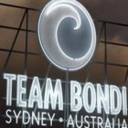 Team bondi LA Noire