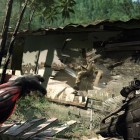 crysis action game